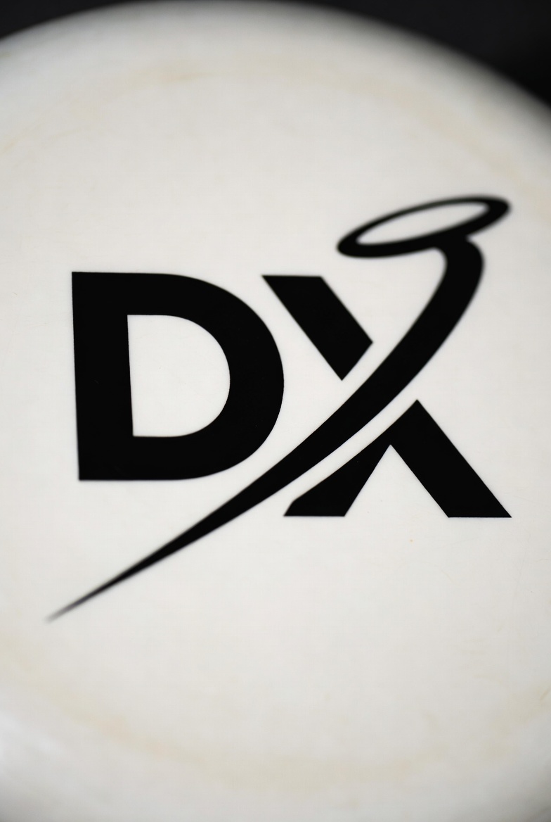 DiscExchange Logo